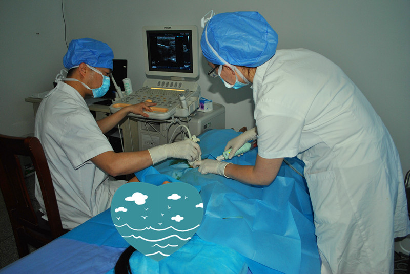 1556586215429079466.jpg 照片 015_副本.jpg