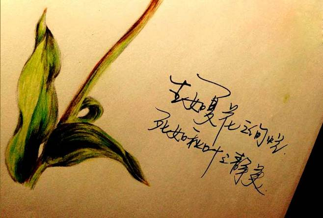 QQ图片20190220120022.png
